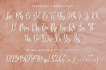 Siluetta - Modern Script Font