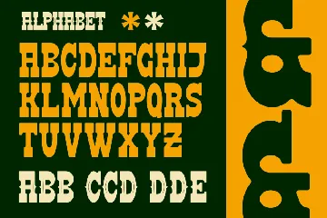 DOMINANT - A Modern Wastern Font