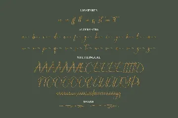 Bluestry Modern Signature Font