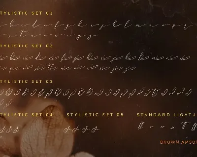 Brown Amsonia font