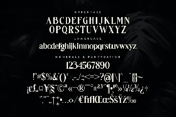 Fantasy Magist Elegant Serif Typeface Font