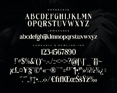 Fantasy Magist Elegant Serif Typeface Font