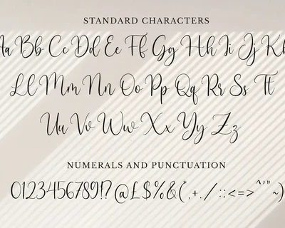 Bullvetti - Beautiful Script Font