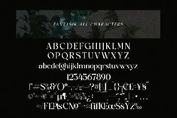 Fantasik Modern Serif Font