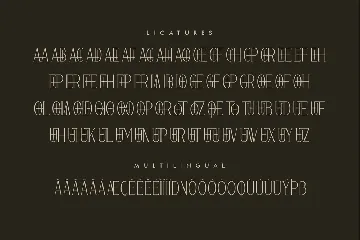 Goldburg A Modern Serif Display Font