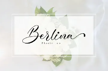 Cinderella Script font