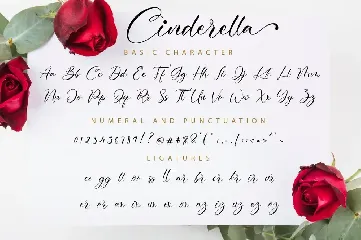 Cinderella Script font