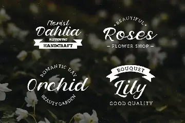 Petter And Sons - Romantic Beauty Script font