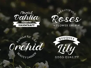 Petter And Sons - Romantic Beauty Script font