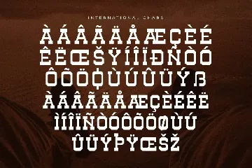 Henk Singer Slab Serif Font