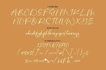 Amanitha Modern Script Font