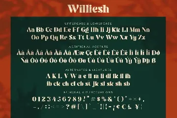 Williesh - Unique Display Serif font