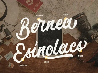 Rexeue Retro Script Font
