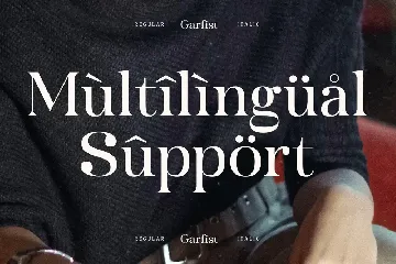 Garfist New Modern Serif Font