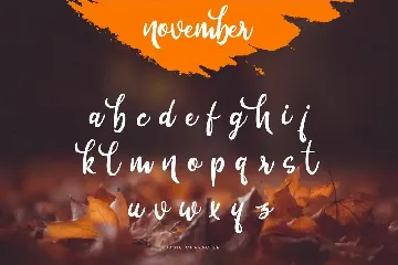 November - Beauty Signature Script font