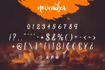 November - Beauty Signature Script font