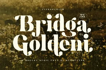 Bridga Goldeni A Modern Serif Font