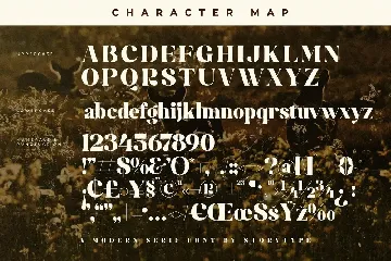 Bridga Goldeni A Modern Serif Font