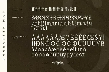 Willfteka A Modern Serif Font