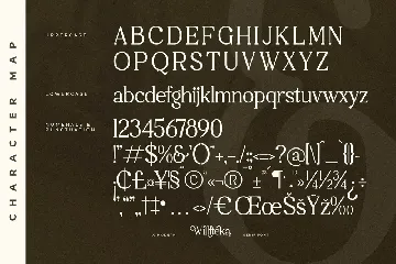 Willfteka A Modern Serif Font