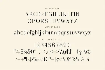 Balorune A Modern Type Face Font