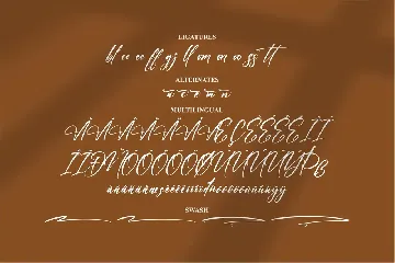 Manetains Signature Font