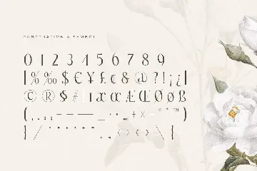 Margaret - Luxury Cool Modern Font