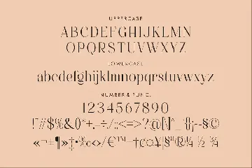 Alchadera A Modern Serif Font