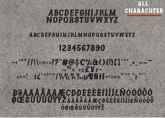 Channels Family Vintage Font