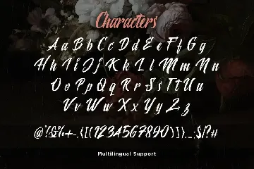 Polaria Script Typeface font