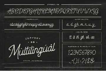 Bohemind - Monoline Signature Font