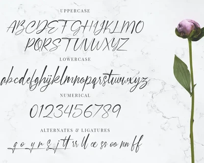 SBR Signastory font