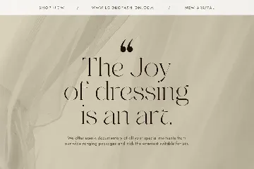 Selectify - Beauty Elegant Luxury Stencil Serif font