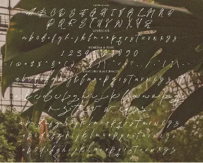 Qikabey Signature font