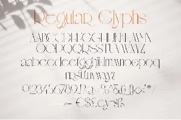 Migueto | Serif Typeface font