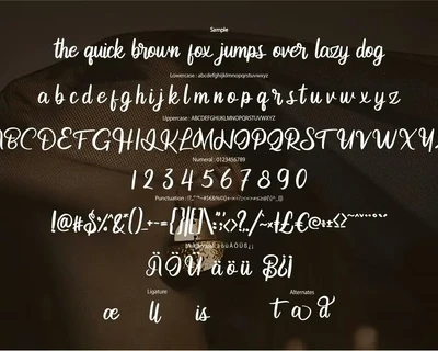 Andetia | Modern Script Font