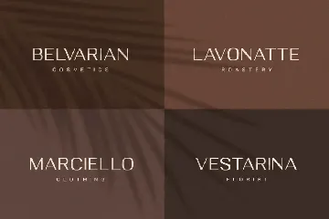 Deloire - Modern & Luxury Sans font