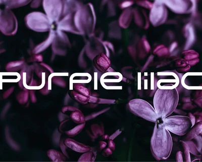 Fix White Font
