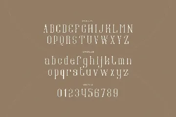 Amonagret - Condensed Serif Typeface font