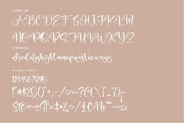 Andita Modern Handwritten Font