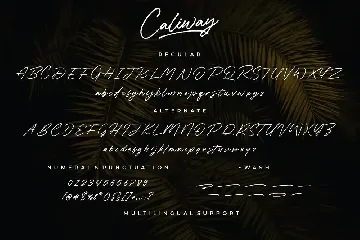Caliway font