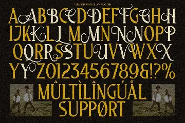 Normerif - Elegant Display Serif font