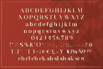 Westack - Modern Serif font