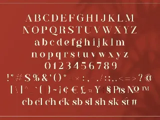 Westack - Modern Serif font