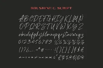 Brushine Collective Font Duo