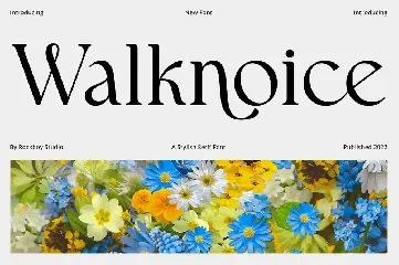 Walknoice - Modern Stylish font