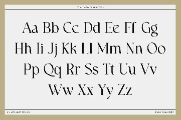 Walknoice - Modern Stylish font