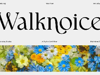 Walknoice - Modern Stylish font