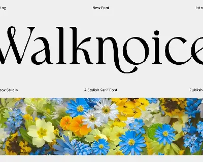 Walknoice - Modern Stylish font