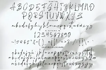 Hastipen Signature font